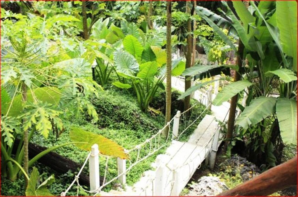Rai Preda Homestay Ao Luk Luaran gambar