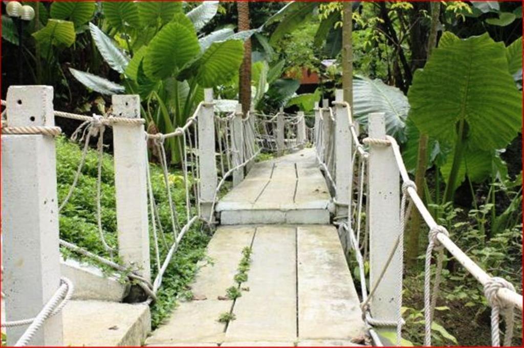 Rai Preda Homestay Ao Luk Luaran gambar